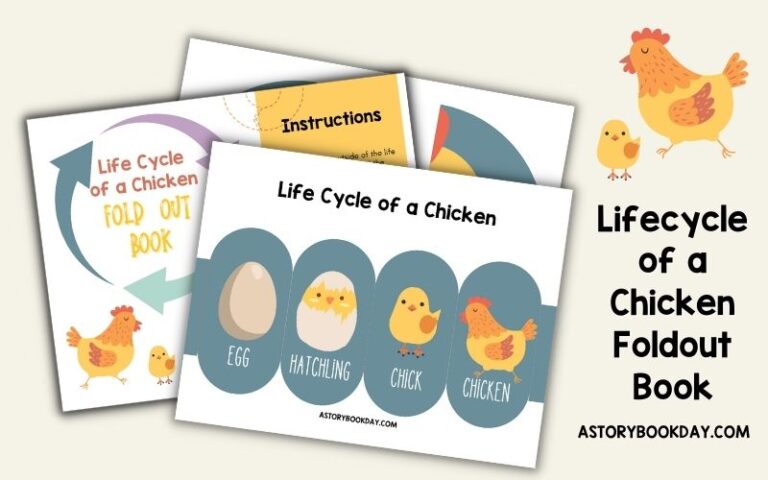 The Life Cycle of a Chicken: A Printable Fold Out Book