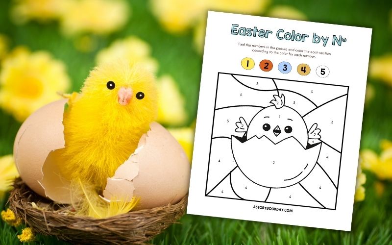 A picture of a fluffy yellow chick inside a cracked egg shell with a Color by Number Printable @ AStorybookDay.com