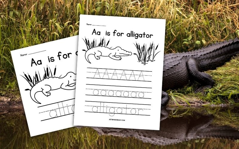A is for Alligator: Handwriting Practice Worksheet