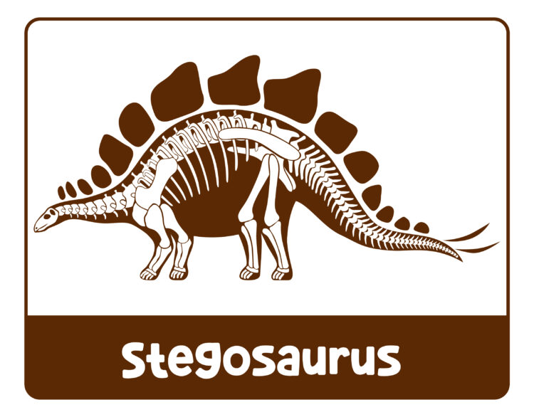A Fun Free Printable Dinosaur Museum for Pretend Play: Kids Will Love It!