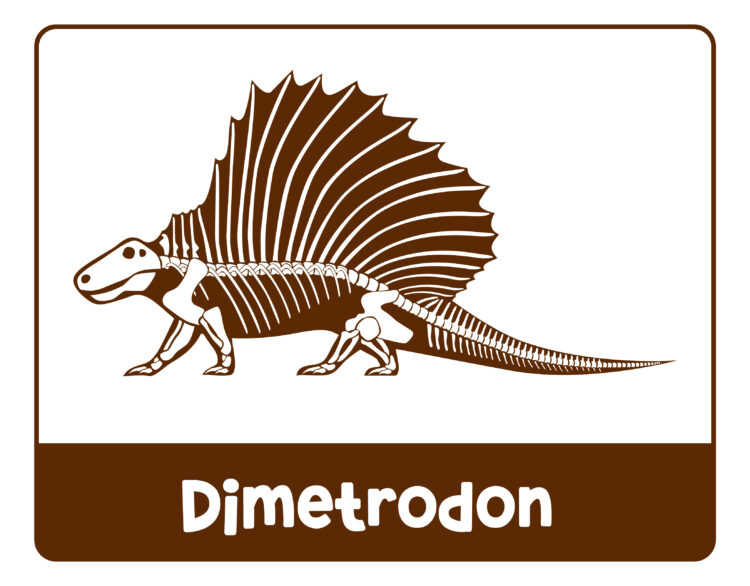 A Fun Free Printable Dinosaur Museum for Pretend Play: Kids Will Love It!