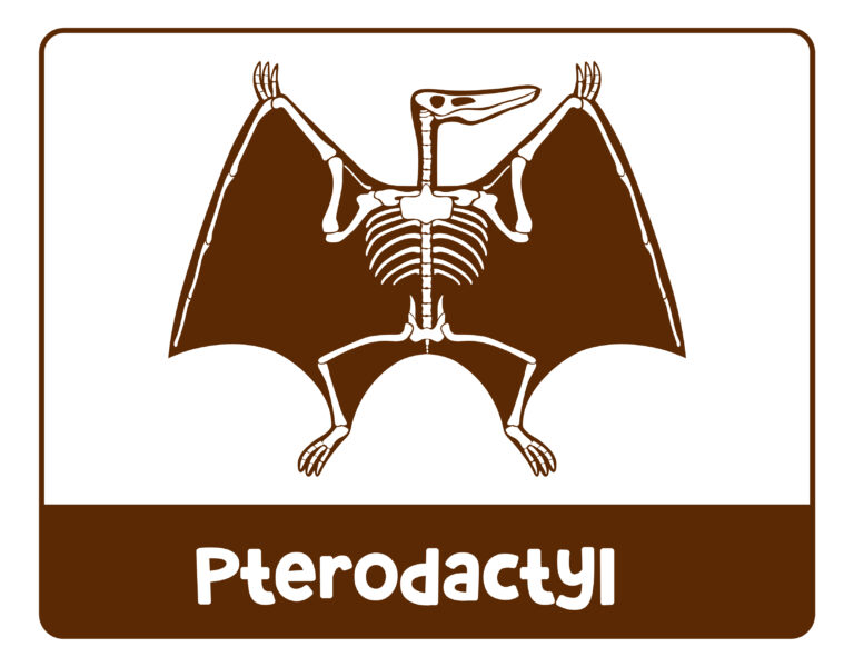A Fun Free Printable Dinosaur Museum for Pretend Play: Kids Will Love It!