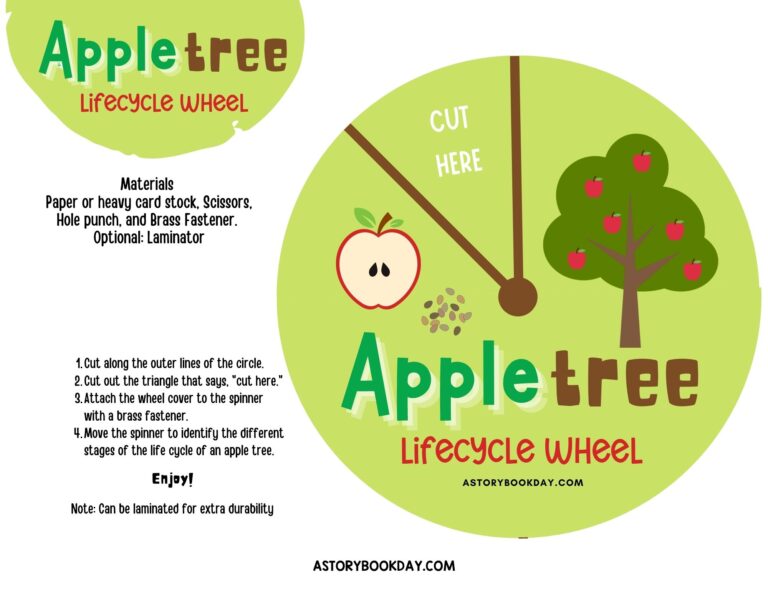 Life Cycle of an Apple Tree Wheel: Free Printable Activity