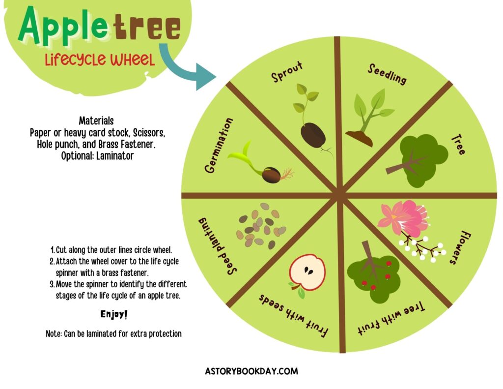 Apple Tree Lifecycle Wheel @ AStorybookDay.com