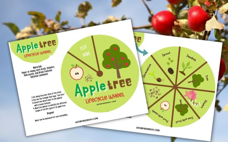 Apple Tree Life Cycle Wheel