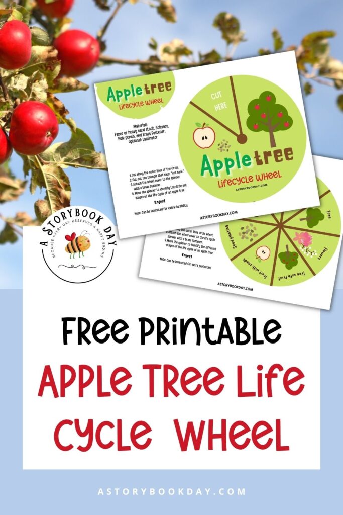 Apple Tree Life Cycle Wheel @ AStorybookDay.com
